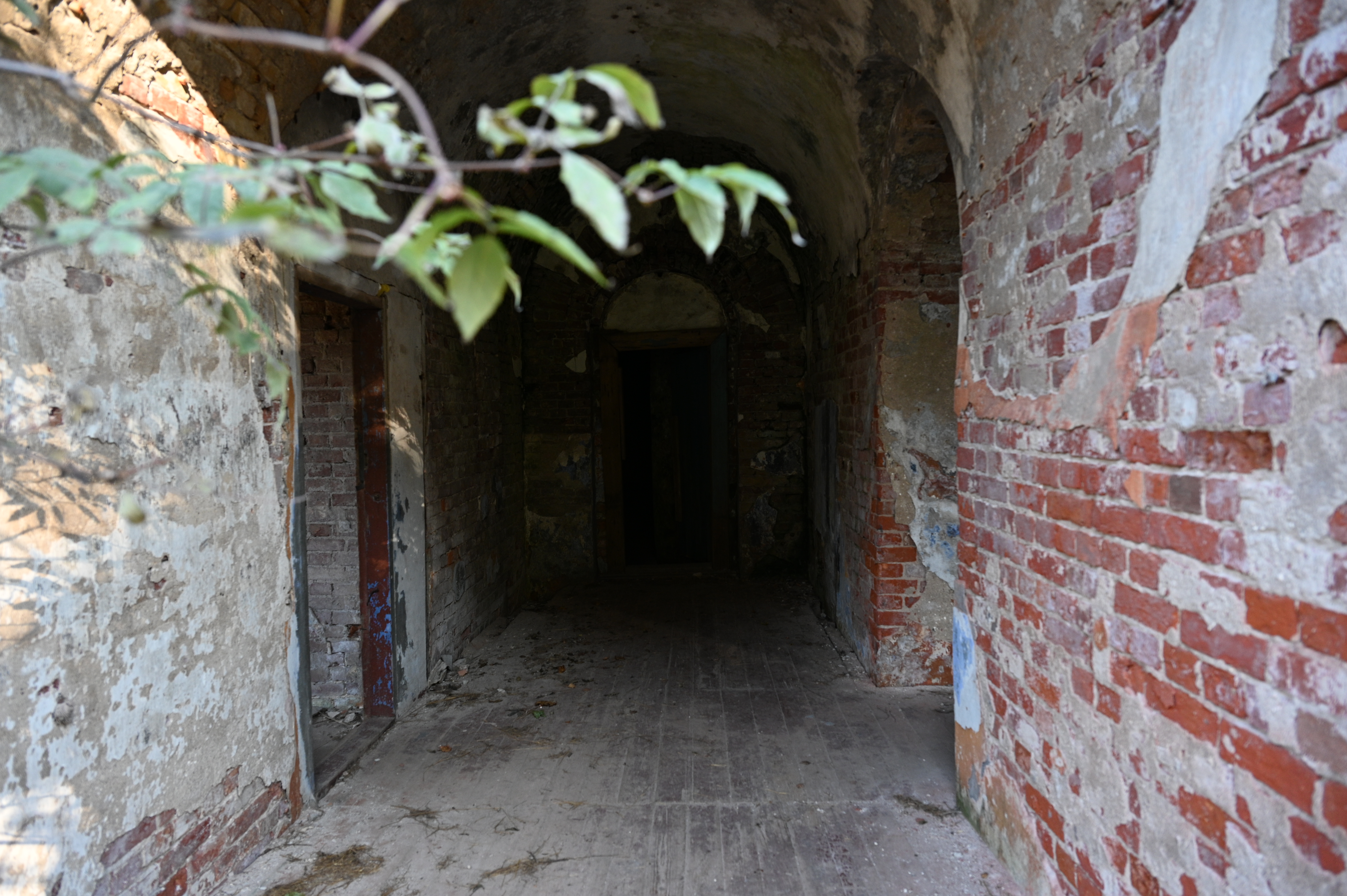 2025/10/18 - walk/DSC_0046.JPG